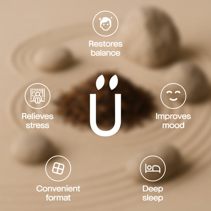CBD CHOCOLATE WITH JAPANESE TEA HOJICHA